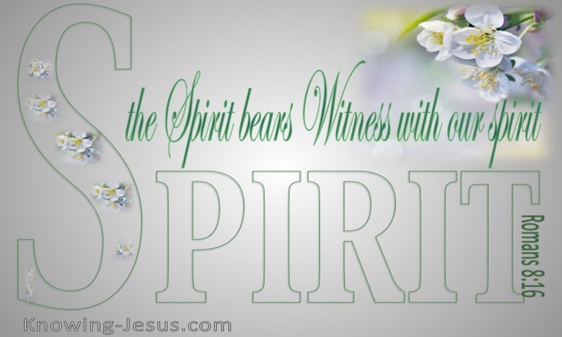 Romans 8:16 The Spirit Bears Witness (gray)